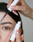 DARK BROWN x BROW WAX BUNDLE